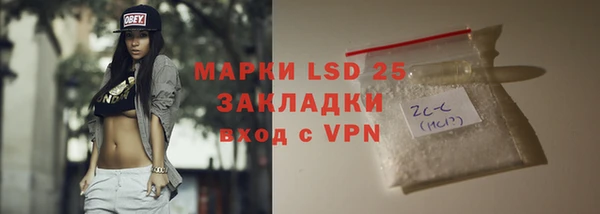 ПСИЛОЦИБИНОВЫЕ ГРИБЫ Беломорск