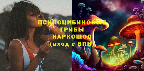ПСИЛОЦИБИНОВЫЕ ГРИБЫ Беломорск
