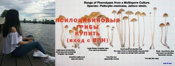 прущая мука Белокуриха
