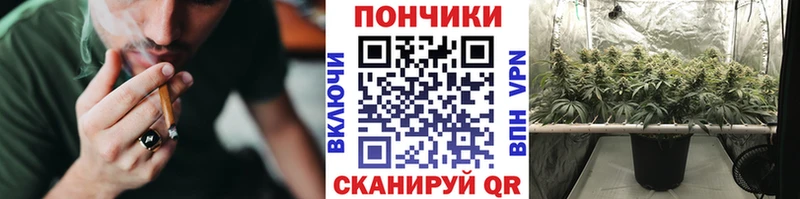 цена наркотик  Нестеров  Каннабис Amnesia 